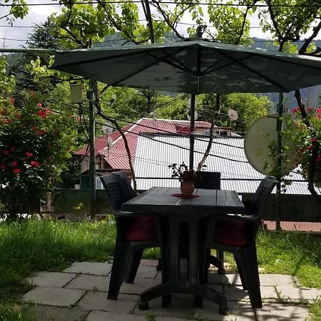 Guest House Green Rose 보르조미 외부 사진