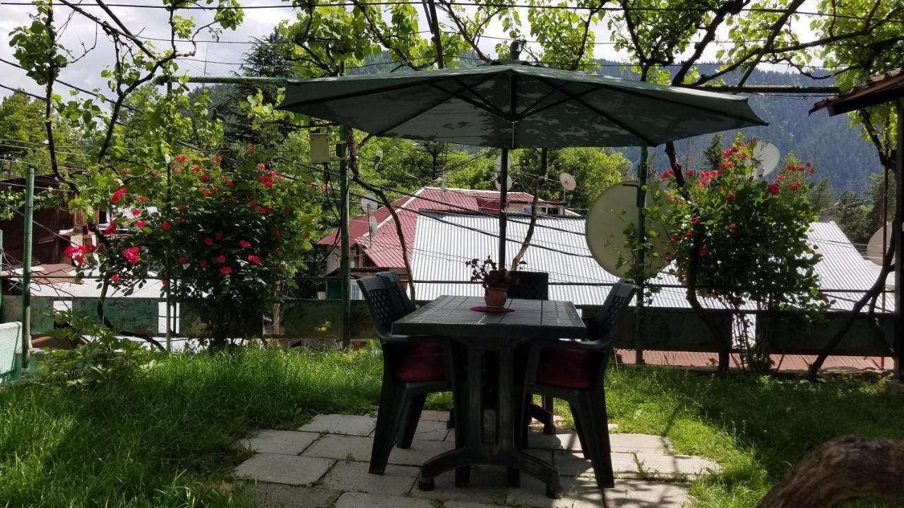 Guest House Green Rose 보르조미 외부 사진
